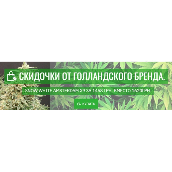 Critical Jack Herer Feminised Critical Jack Herer Feminised