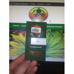 LSD Feminised LSD Feminised