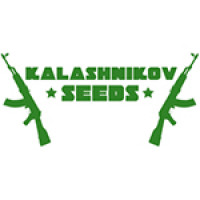 Kalashnikov Seeds