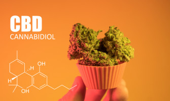 КБД одобрен судом ЕС