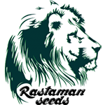 Rastaman Seeds