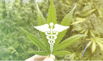 Что такое законопроект о легализации мед канабиса?