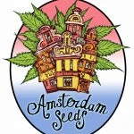 Amsterdam Seeds