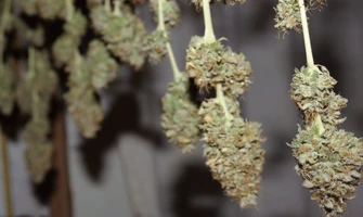 4 момента которые надо знать при сушке